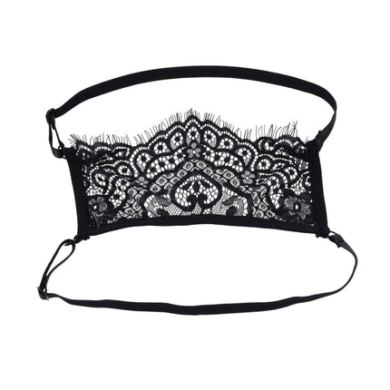 Veiled Vision Lace Blindfold - Black
