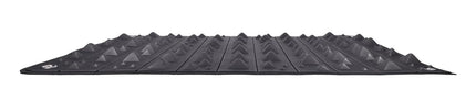 Edge Spiked Punishment Mat