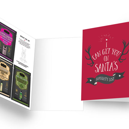 Naughty Notes I Can Get You On Santa's Naughty List