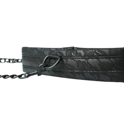 Sinc Lace Collar and Leash