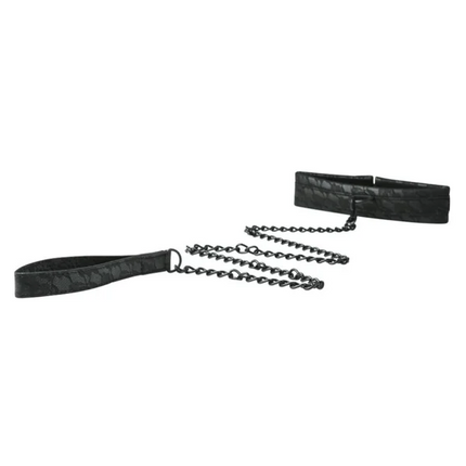 Sinc Lace Collar and Leash