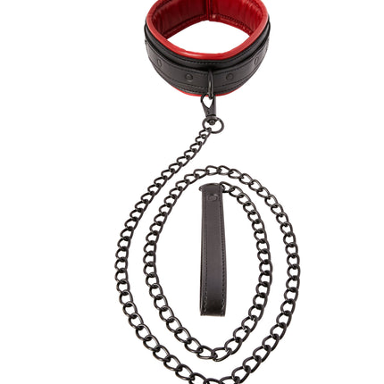 Saffron Leash & Collar