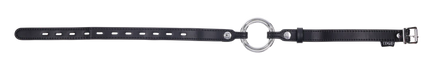 Edge Interchangeable Ring Gag